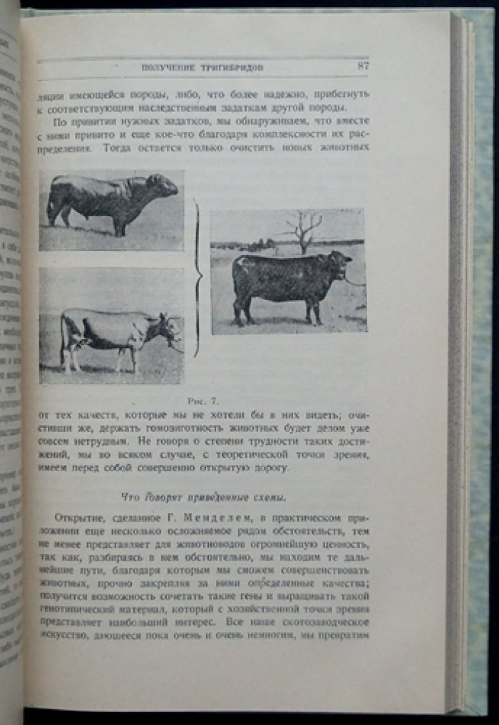 Разведение сельскохозяйственных животных (3-е издание)