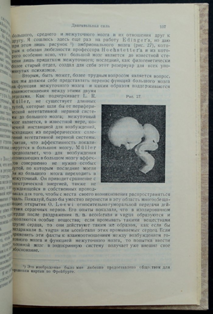 П. Матес. Конституциональные типы женщины: интерсексуальный вариант, клинико-эволюционный подход