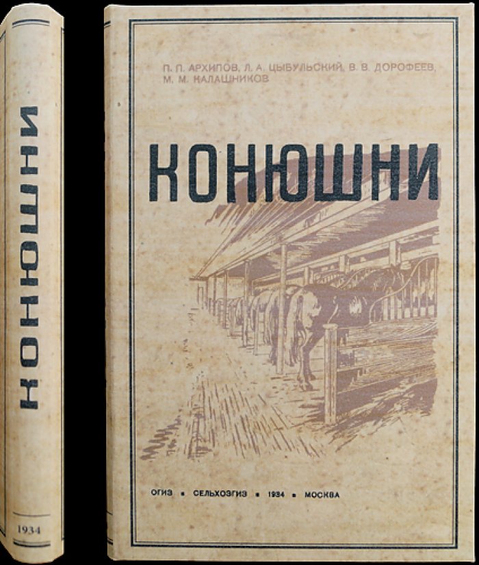 Конюшни: принципы проектирования, планировка и оборудование для рабочих лошадей