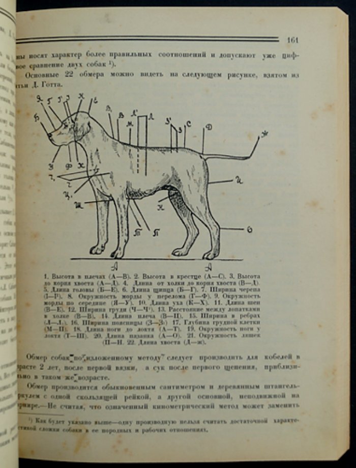 Сборник ДОКС’а (зима 1924—1925). Статьи по кинологии, ветеринарии и истории донского кровного собаководства