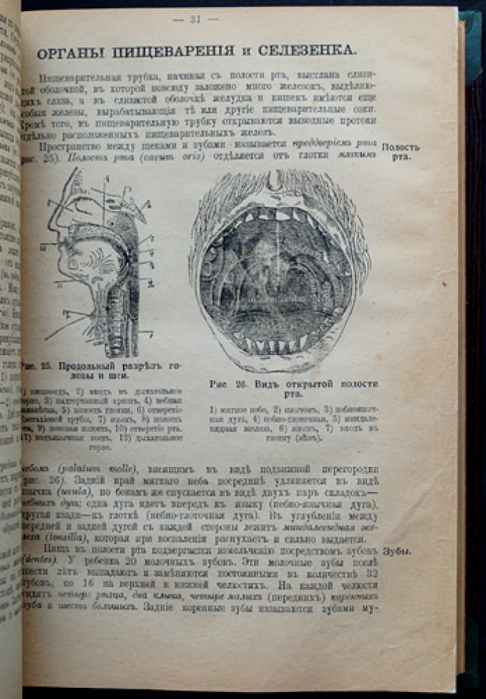 Руководство для ротных фельдшеров и фельдшерских учеников (д-р мед. А.И. Баранов). 19-е издание, исправленное и дополненное