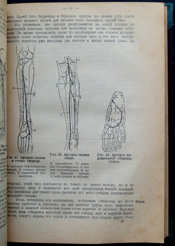 Руководство для ротных фельдшеров и фельдшерских учеников (д-р мед. А.И. Баранов). 19-е издание, исправленное и дополненное