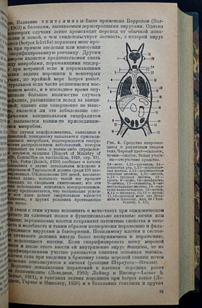 Сталлибрасс. Основы эпидемиологии — систематическое введение в науку о распространении инфекций