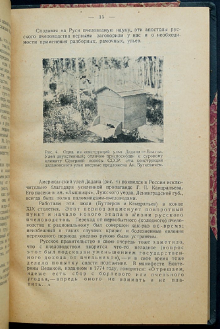 Основные вопросы пчеловодного хозяйства (азбука пасечного дела)