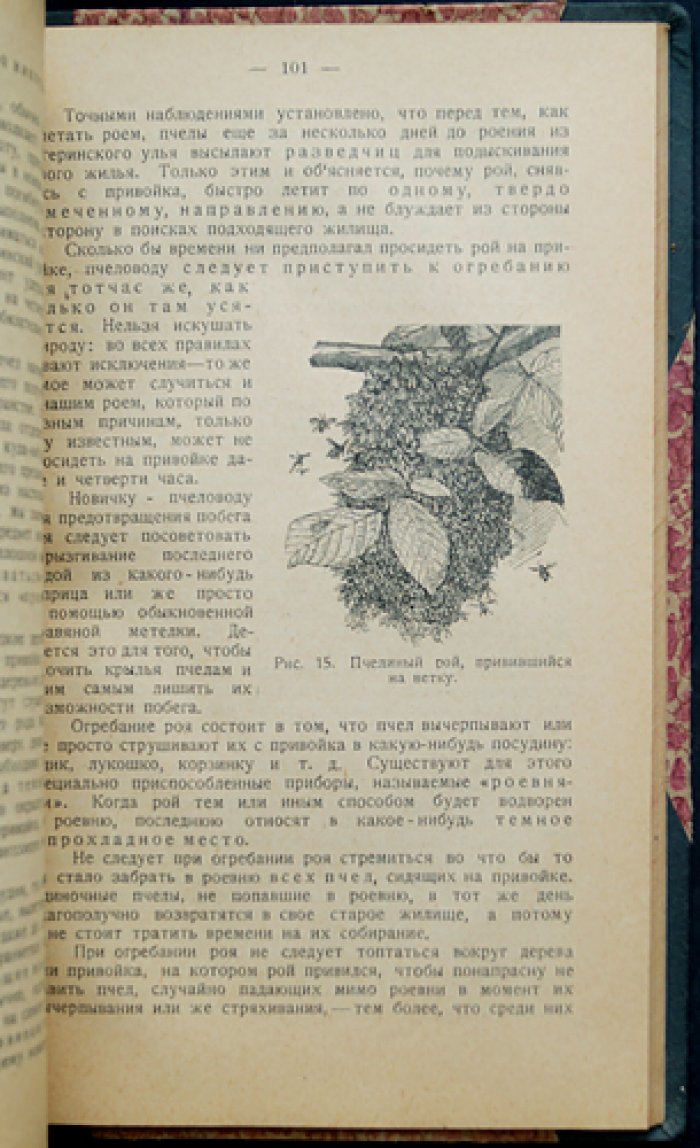 Основные вопросы пчеловодного хозяйства (азбука пасечного дела)