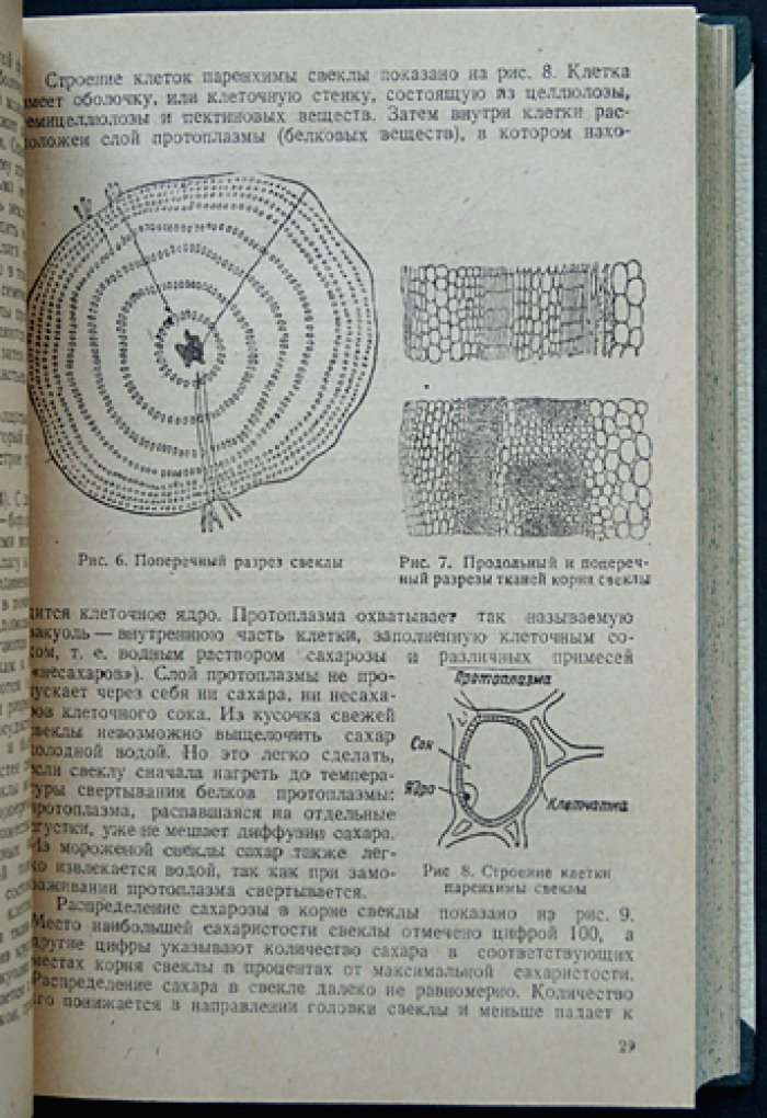Технология свеклосахарного производства. Часть I (единственная). Теория противоточного обессахаривания и диффузионные режимы