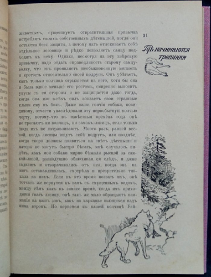 На крайнем Севере. По тропинкам и дорожкам: очерки из жизни животных