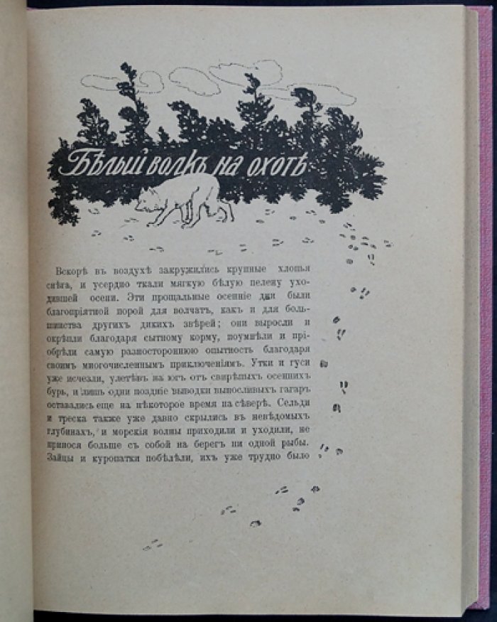 На крайнем Севере. По тропинкам и дорожкам: очерки из жизни животных