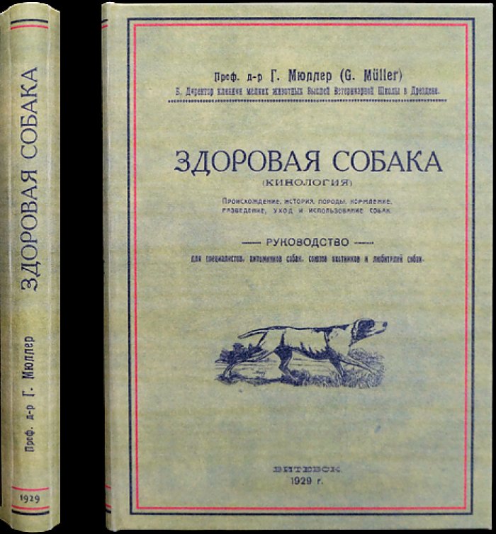 Здоровая собака: кинология, породы, кормление, разведение и уход (с иллюстрациями)