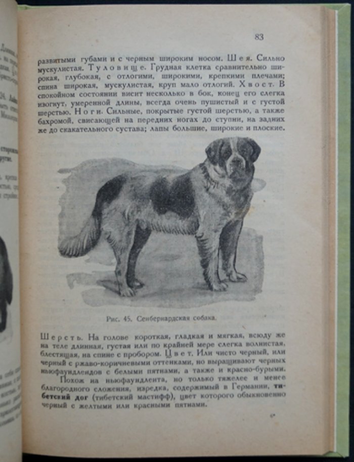 Здоровая собака: кинология, породы, кормление, разведение и уход (с иллюстрациями)