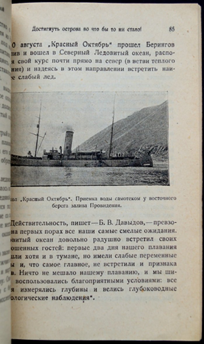 За ледяной стеной: остров Врангеля. Путешествие и исследование Арктики