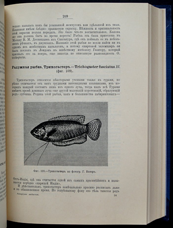 Аквариум любителя. Подробное описание водяных животных и растений, устройства аквариума и ухода