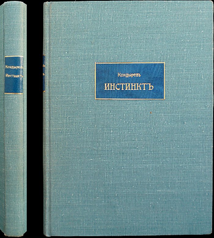 Инстинкт: философский трактат и архитектурная теория (выпуск первый и единственный)