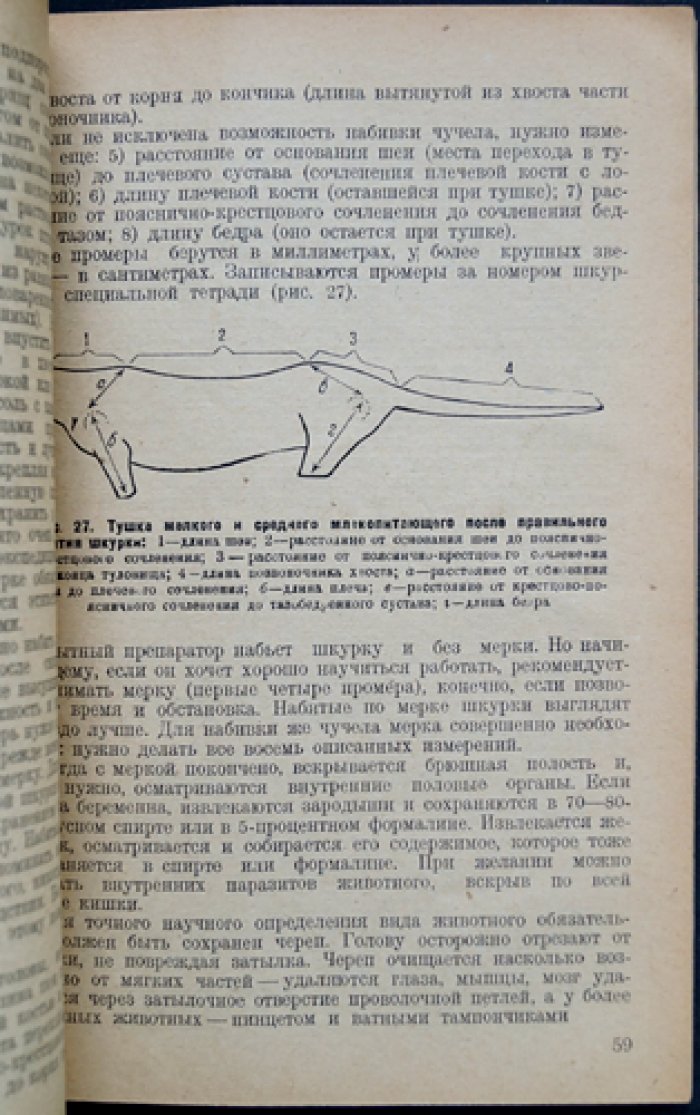 Набивка шкурок и чучел птиц и зверей: практическое руководство по музейному коллекционированию и выделке