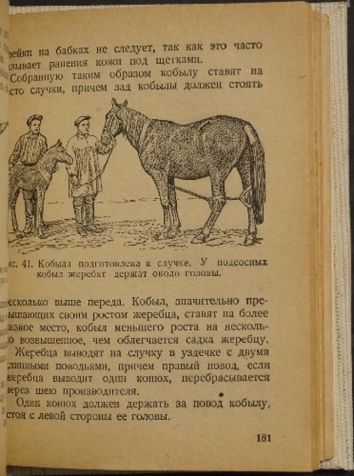 «Справочник конюха» — уход за лошадью, кормление и использование на работах (1940)