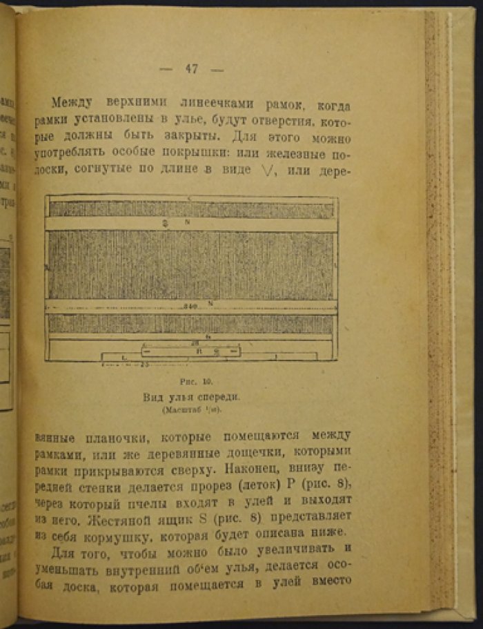 Жорж де Лайанс. Уход за пчёлами по новейшим способам: теория и практика в 17 уроках (горизонтальный улей)