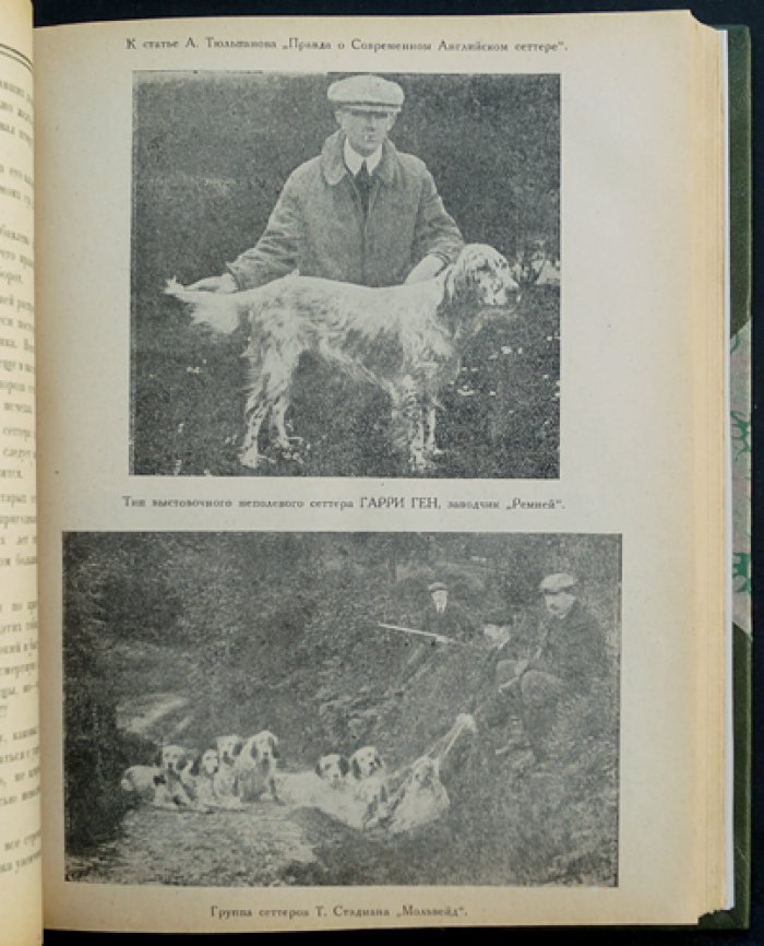 Сборник ДОКС: зима 1924–1925 гг. (Донское общество поощрения и развития кровного собаководства)