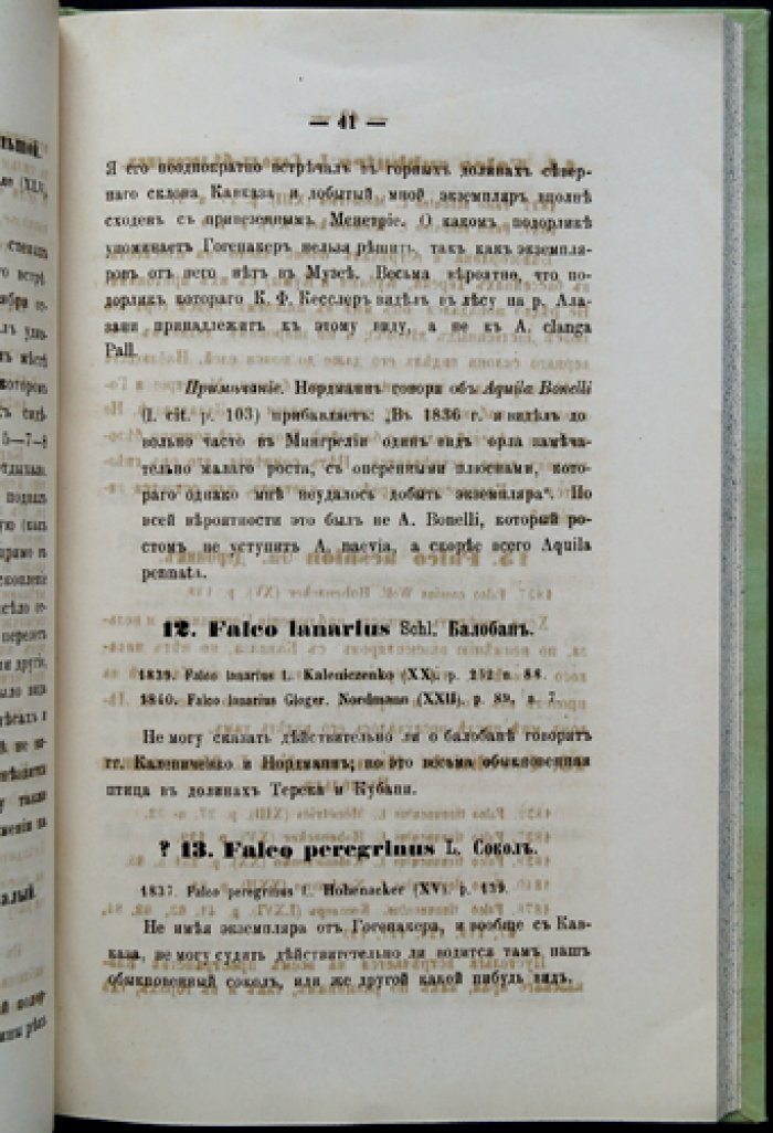 Птицы Кавказа (труды Общества естествознания при Имп. Казанском университете). Том VIII, выпуск 4