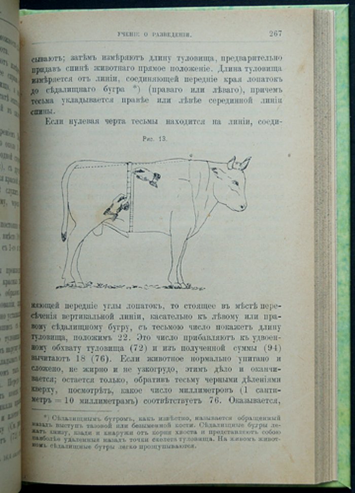 Общее животноводство. Кормление, разведение и зоогигиена сельскохозяйственных животных