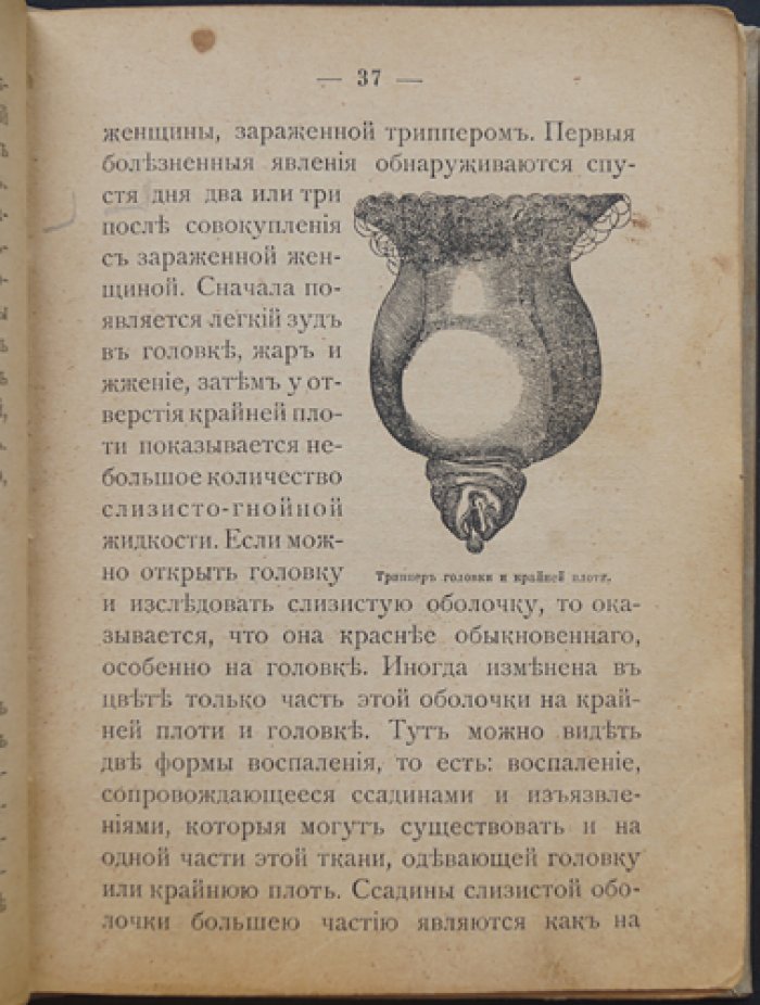 Лечебник секретных болезней: венерические заболевания, мочеполовые расстройства, сифилис и вопросы мужского/женского бессилия