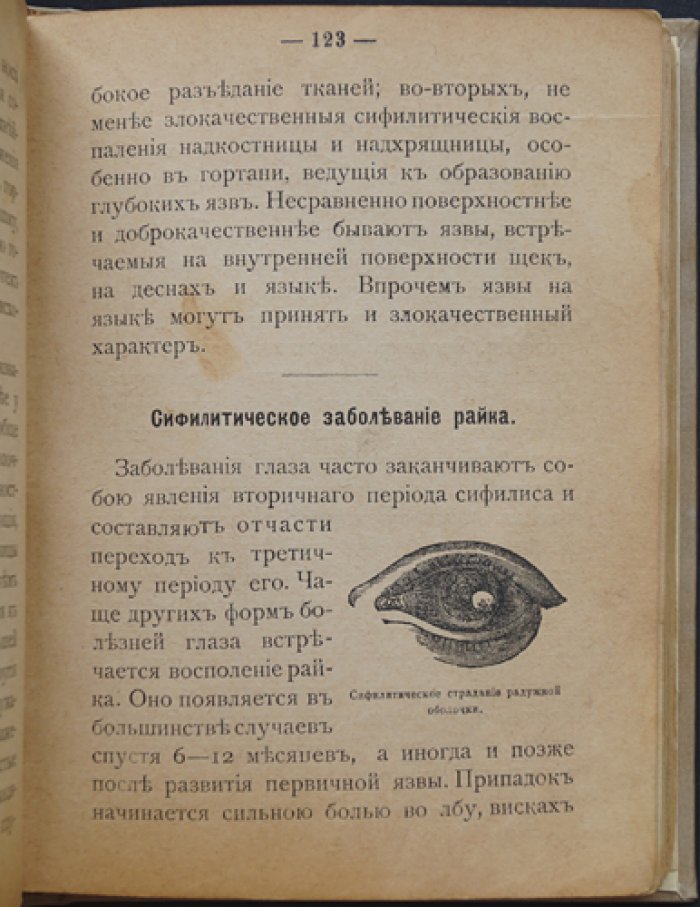 Лечебник секретных болезней: венерические заболевания, мочеполовые расстройства, сифилис и вопросы мужского/женского бессилия