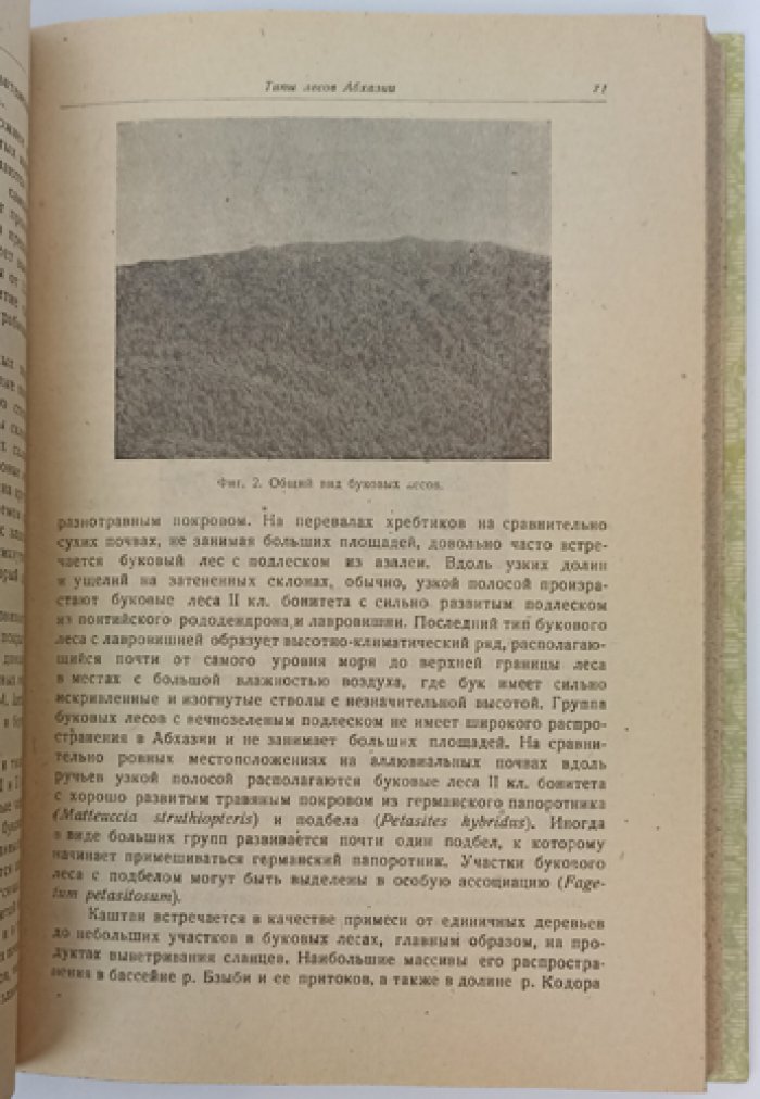 Абхазия: геоботанический и лесоводственный очерк по материалам экспедиции АН СССР (1934)