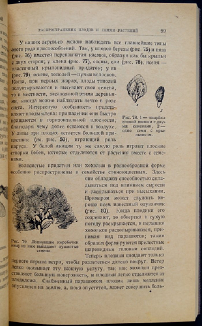 Сезонные явления в природе: весна, лето, осень и зима (с иллюстрациями)