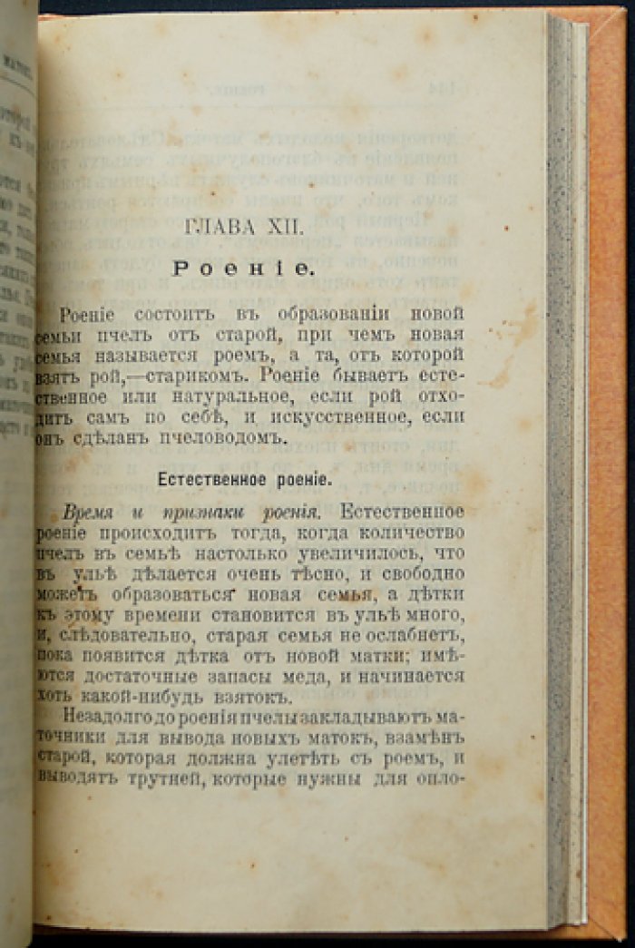 Главные пасечные работы: практическое руководство по уходу за пчёлами (с рисунками)