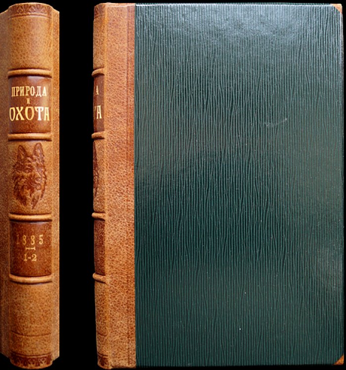 Природа и охота. Иллюстрированный журнал. Комплект №1–2 за 1885 год