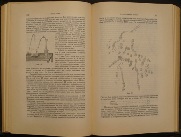Исследования о брожениях: сахар, пивные дрожжи, уксус и пиво (классики естествознания)