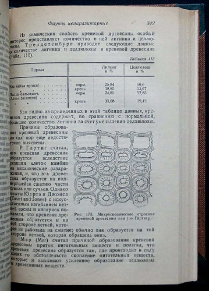 Ванин С. И. Профессор: Древесиноведение. Учебное руководство по свойствам и строению древесины