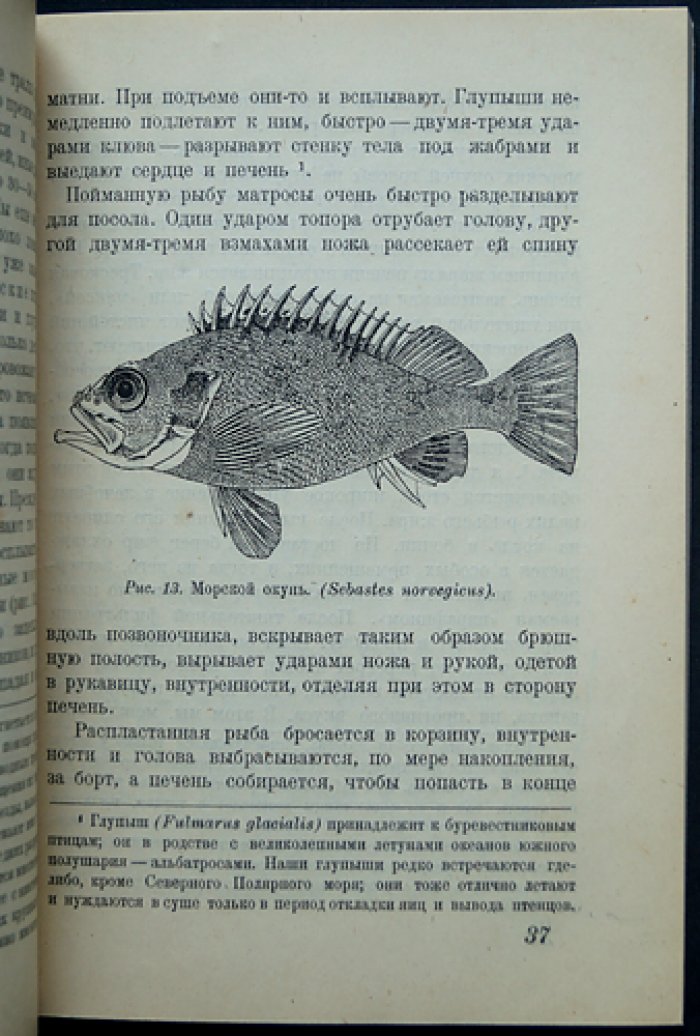 На рыболовном траулере в полярном море. Из дневника натуралиста
