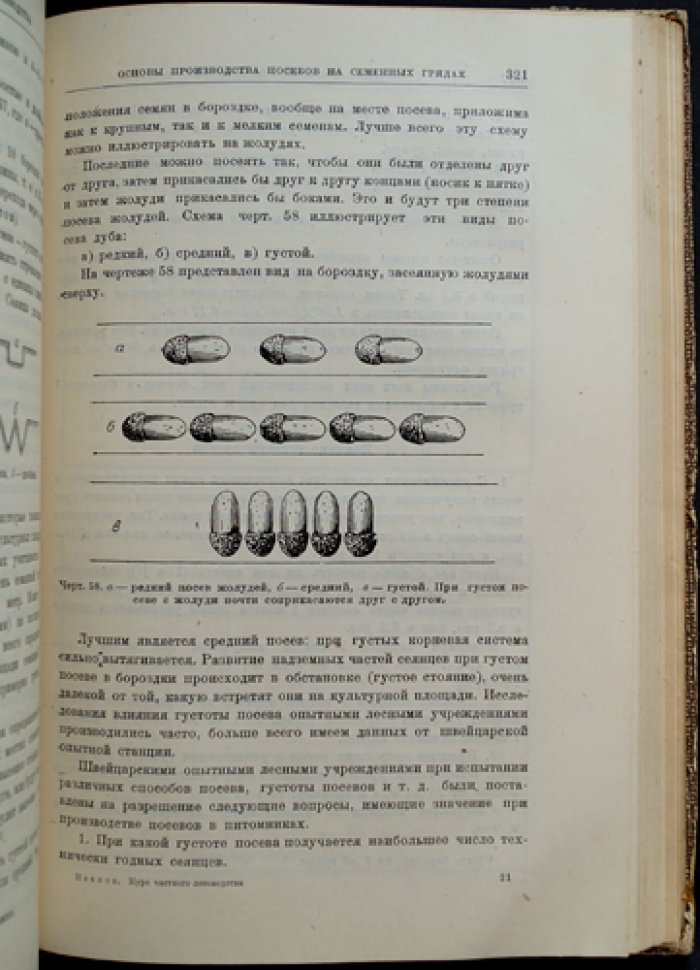Курс частного лесоводства. Том 1: Лесные культуры (Единственный)