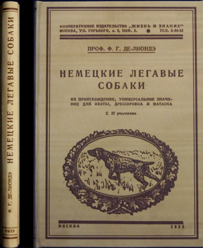 Немецкие легавые собаки: происхождение, типы, охота, дрессировка и натаска (с рисунками)