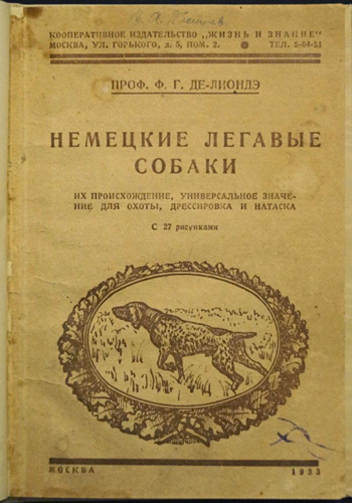 Немецкие легавые собаки: происхождение, типы, охота, дрессировка и натаска (с рисунками)
