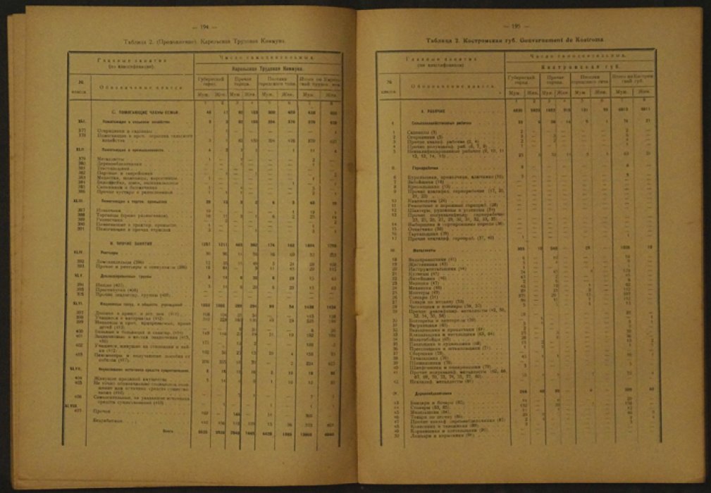 Итоги городской переписи 1923 года (Европейская Россия): занятость населения городов СССР по занятиям. Часть II, выпуск I