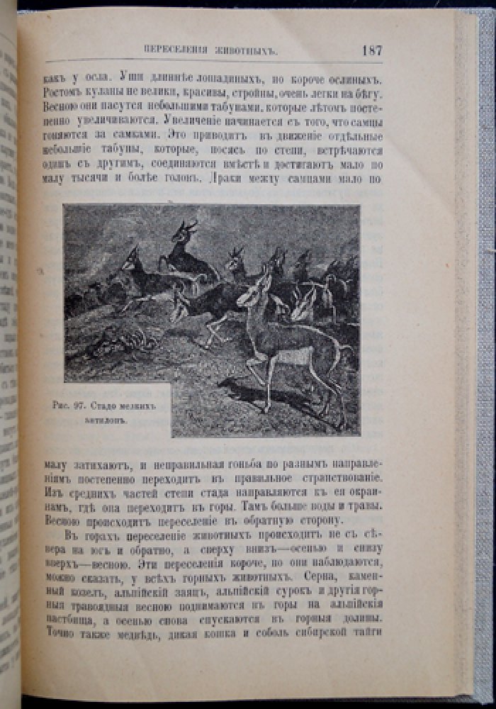 Сезонные явления в природе: весна, лето, осень и зима (иллюстрированное руководство для наблюдений)