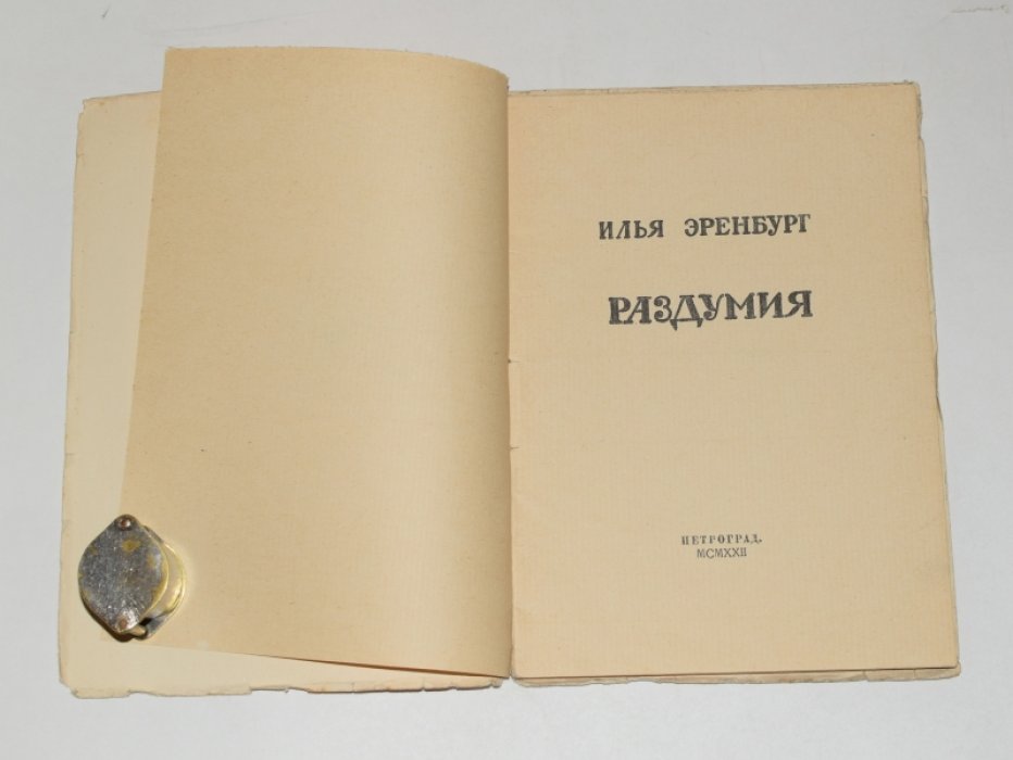 Эренбург Илья. Раздумия.