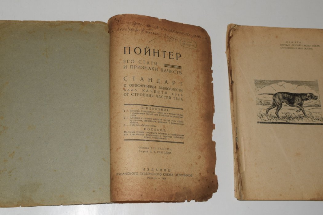 Баснин В.Н. Пойнтер, его стати и признаки качеств. [Автограф автора].