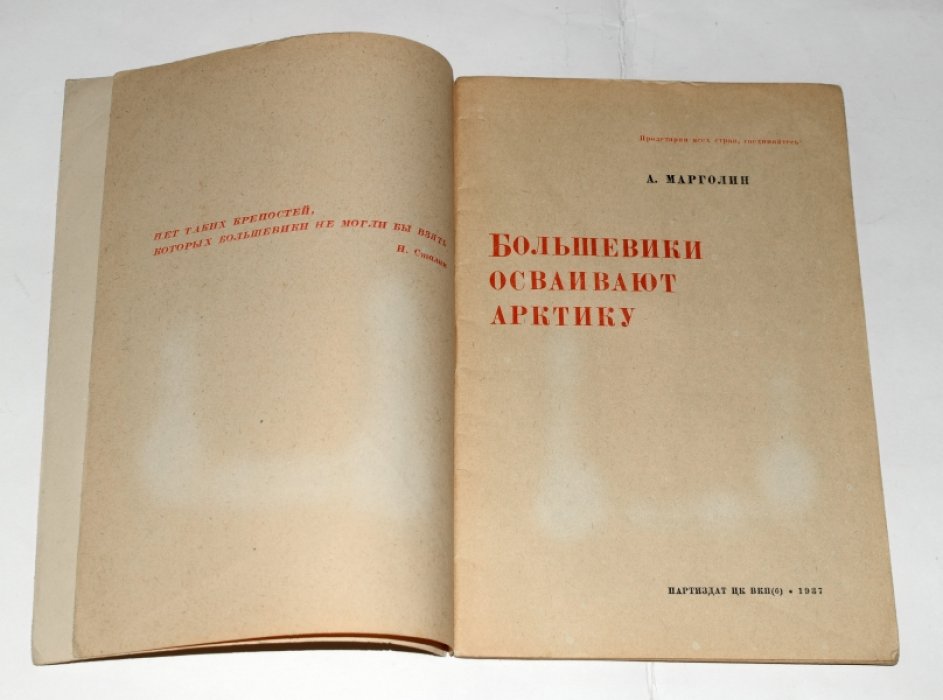 Марголин А. Большевики осваивают Арктику.