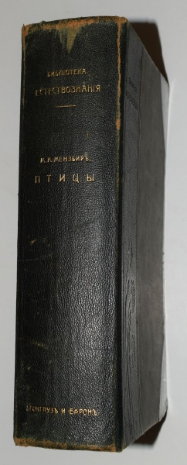 Мензбир М.А. Птицы.