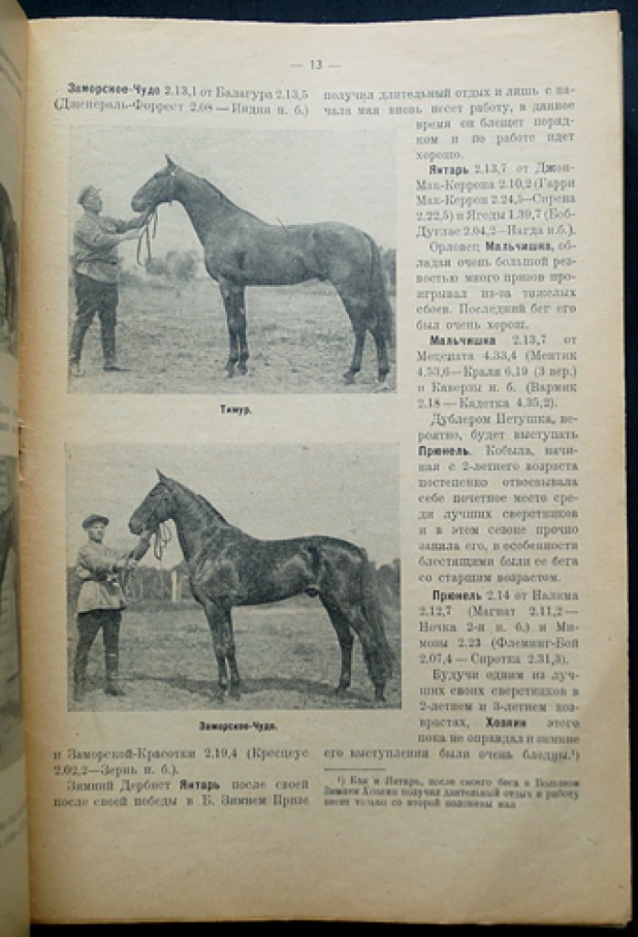 «Коневодство и Коннозаводство». Полный комплект журнала: 51 номер (№910(1)–№1029(51)), июль 1928 — июнь 1929