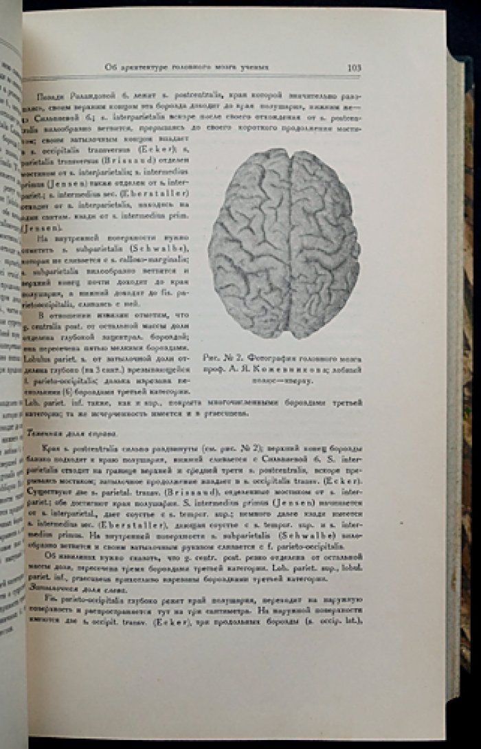 Неврология, невропатология, психология и психиатрия: сборник к 40-летию научной, врачебной и педагогической деятельности проф. Г.И. Россолимо