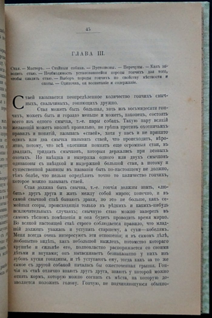 Ружейная охота с гончими: руководство для охотников и любителей (вторая редакция журнала «Псовая и ружейная охота», 1906)