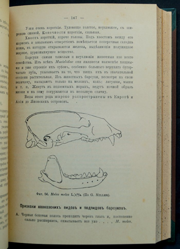 Млекопитающие Кавказского края: полный комплект в двух томах (в одном переплете)