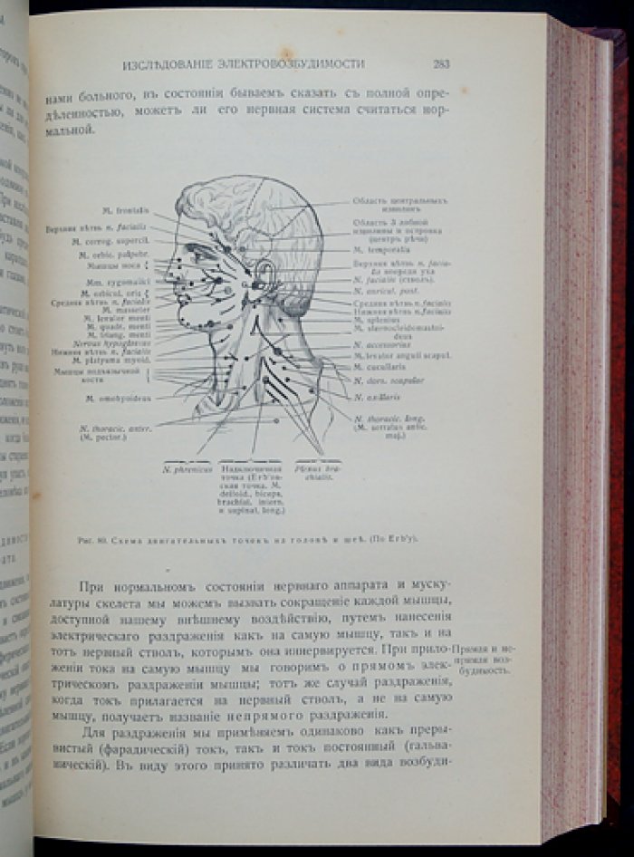 Проф. Л.О. Даркшевич. «Курс нервных болезней» (полный комплект в 3 томах, 7 выпусках, 4 переплётах). Казань, 1907–1917