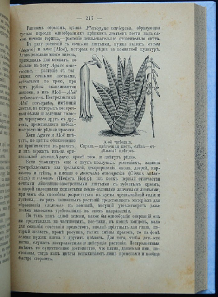 Дом и хозяйство (в 2 томах). Рациональное ведение домашнего хозяйства в городе и деревне и кухня с 1185 рецептами