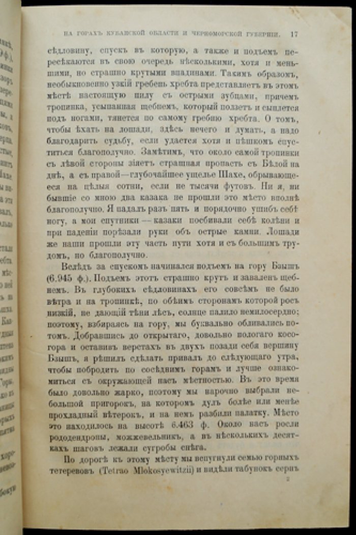«Природа и охота» — ежемесячный иллюстрированный журнал об охоте и охране животных (1899, № 1–4, комплект)