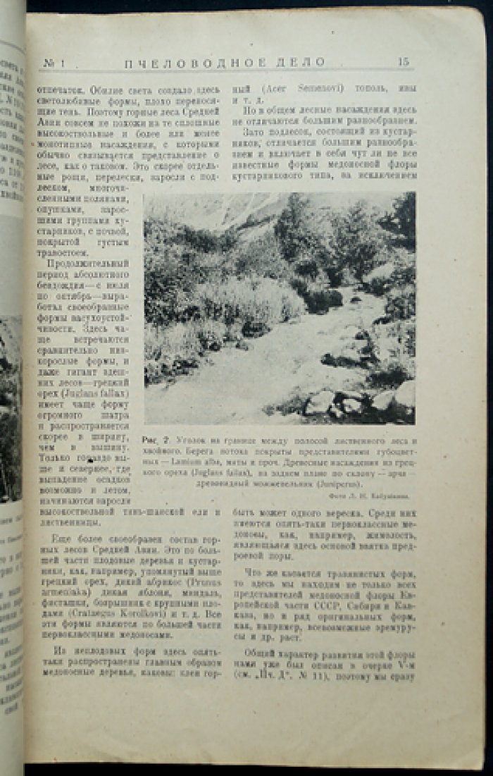 Пчеловодное дело. 1929 год. Годовой комплект журнала Измайловской опытной пасеки (№1–12)