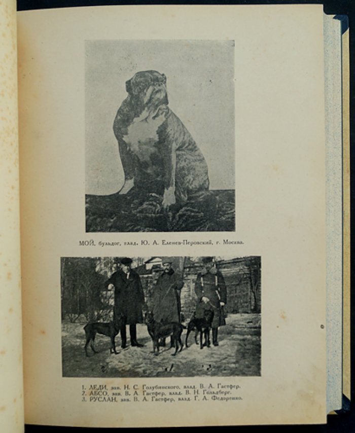 Сборник ДОКСа «Зима 1924–1925 гг.»: кинология, ветеринария и хроника донского собаководства (под ред. А.А. Рази, 1925)